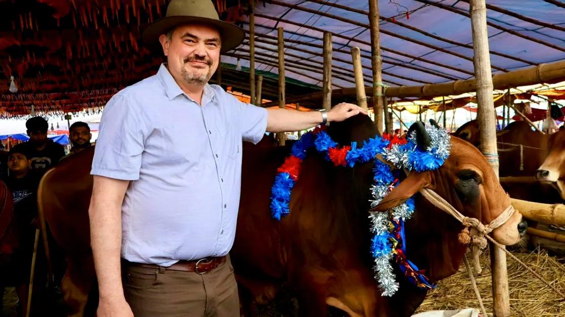 US ambassador visits Eid cattle market, extends greetings ahead of Eid al-Adha