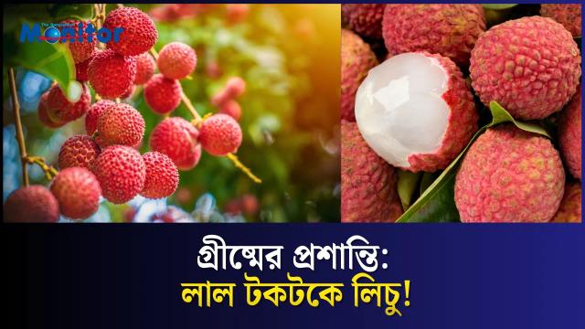 প্রচন্ড গরমে চারিদিকে লিচুর জয়জয়কার