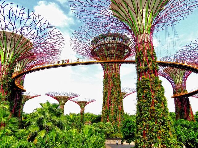 S'pore drops covid testing requirements for travellers