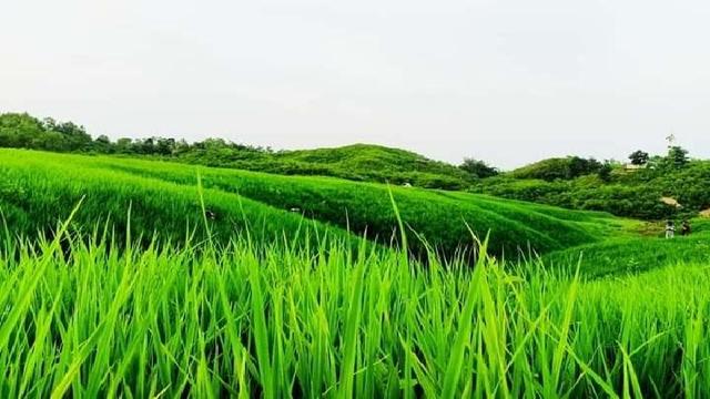 পাহাড়ে ছুটছে পর্যটক