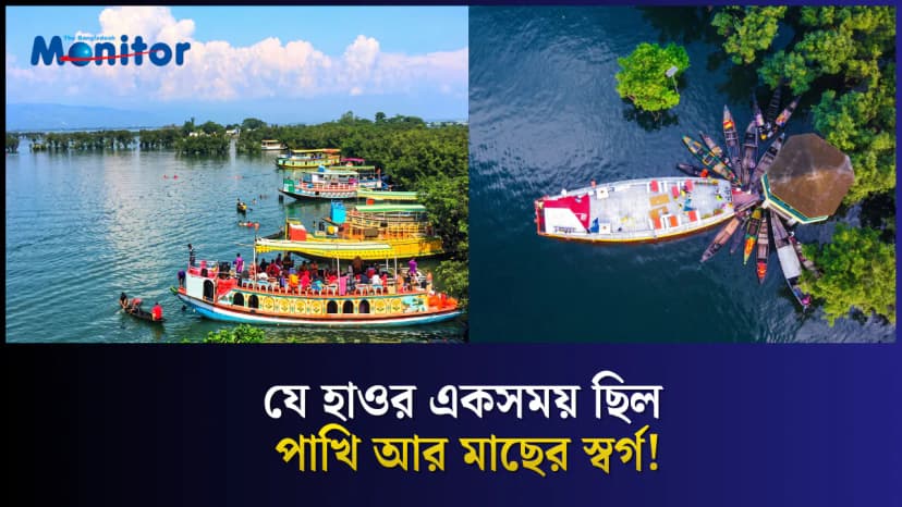 পর্যটনের চাপে কি ধ্বংসের পথে টাঙ্গুয়ার হাওর?