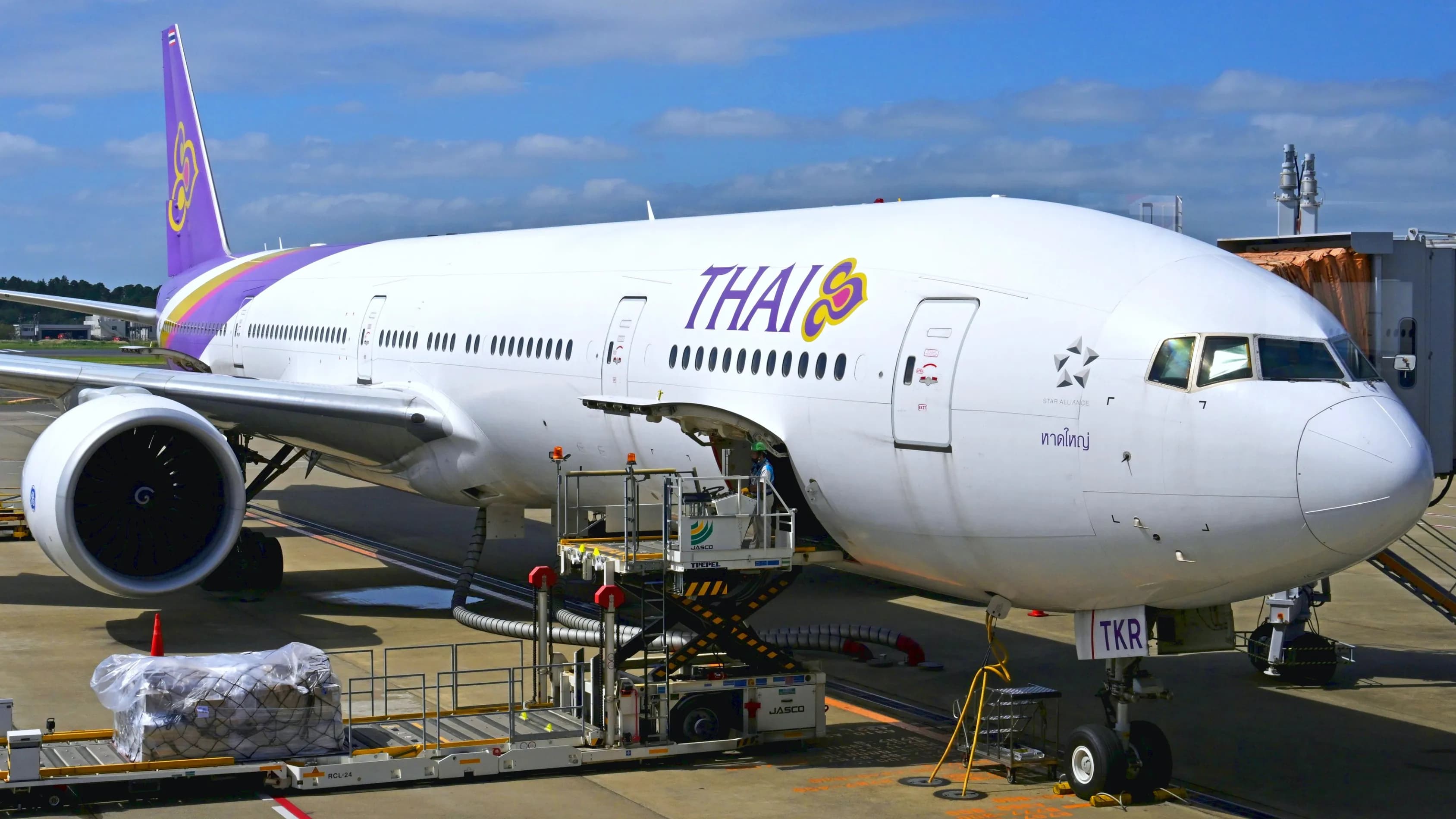 Thai Airways hires overseas HR firm to assess CEO candidates