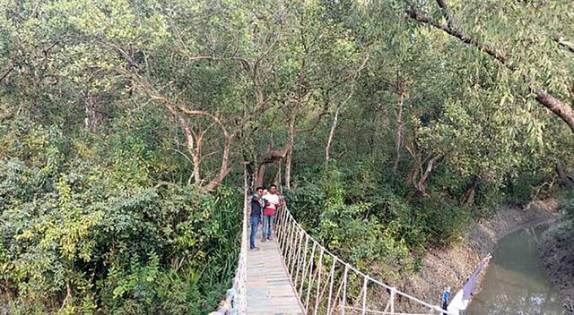 দৃষ্টিনন্দন কুকরি-মুকরি ডাকছে ভ্রমণপিপাসুদের