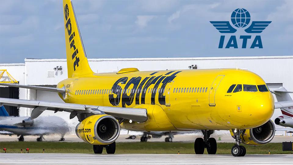 More LCCs could follow Spirit as industry profit outlook falls