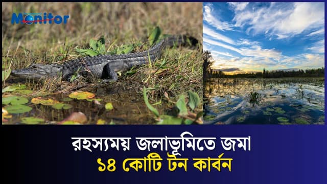 আমেরিকার নতুন বিশ্ব ঐতিহ্য: ওকেফেনোকি জলাভূমি