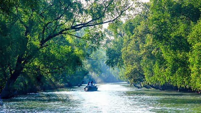 আজ সুন্দরবন দিবস